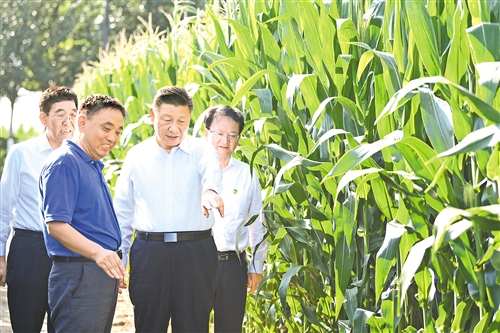 习近平在吉林考察时强调  坚持新发展理念深入实施东北振兴战略 加快推动新时代吉林全面振兴全方位振兴 